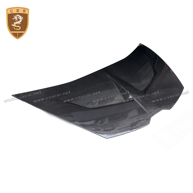 Lamborghini Huracan LP610-LP580 1016 Hood