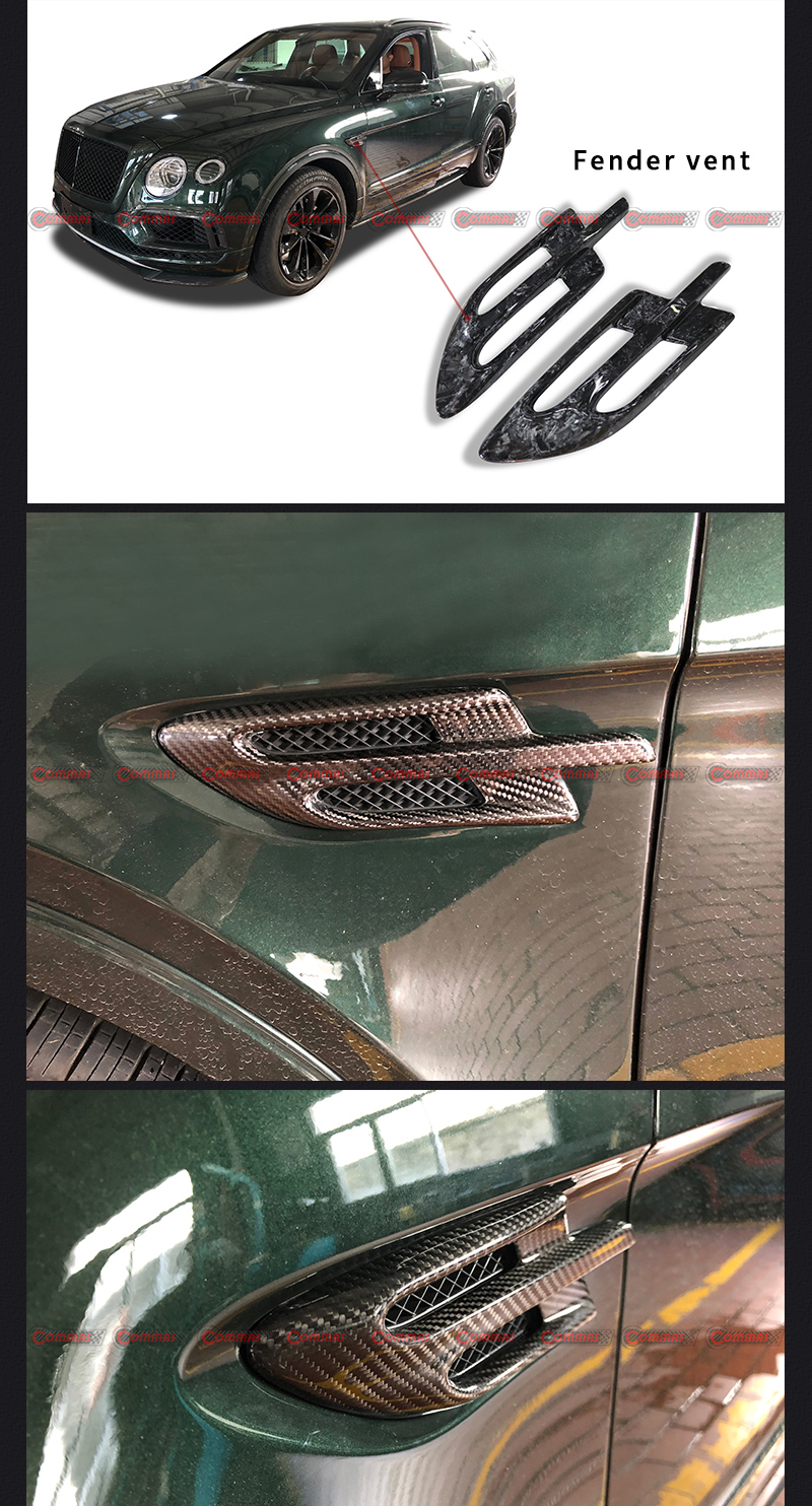 Carbon Fiber Side Air Vent Fender Trims